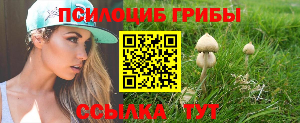 Галлюциногенные грибы Psilocybe  Вход с VPN  Аша 