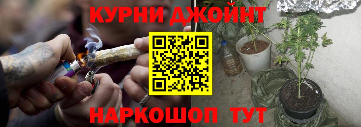 Канабис AK-47 Аша